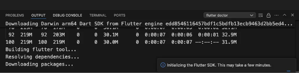 Flutter for beginners - Get started 12