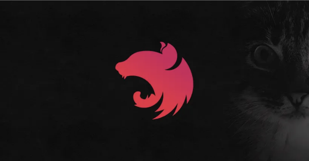 NestJS 이미지