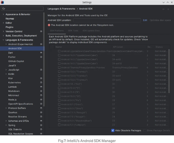 Flutter in IntelliJ image 6