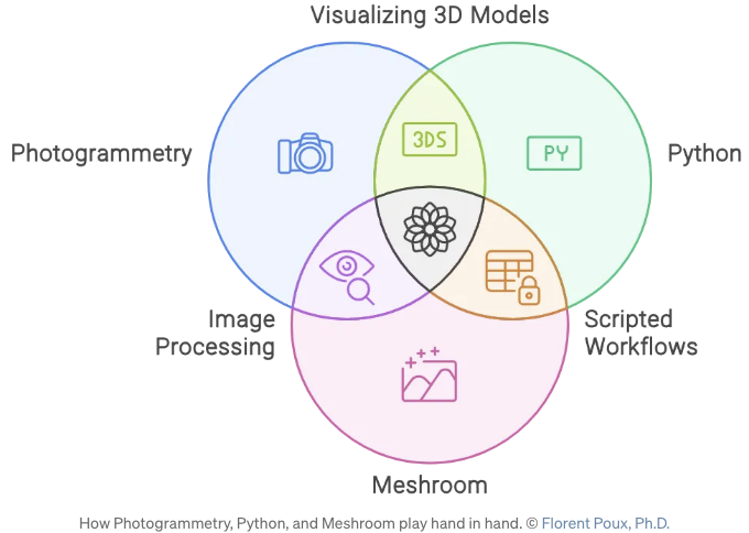 3D Reconstruction Tutorial with Python and Meshroom